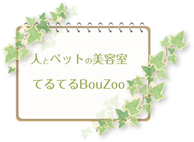 てるてるBouZoo