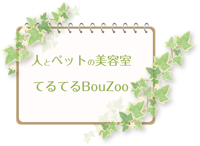 てるてるBouZoo